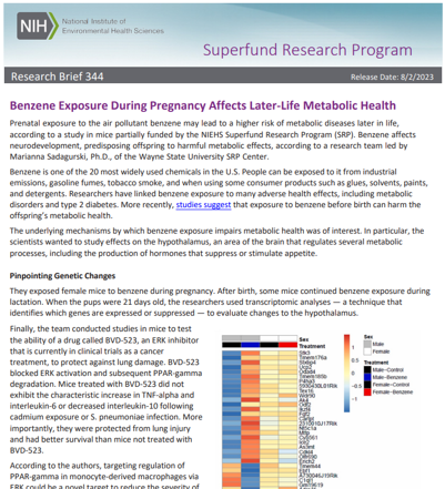 SRP Research Brief