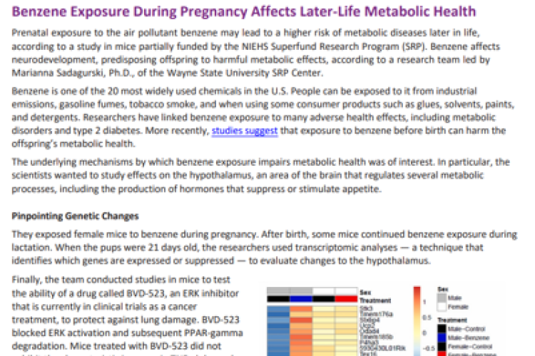 SRP Research Brief